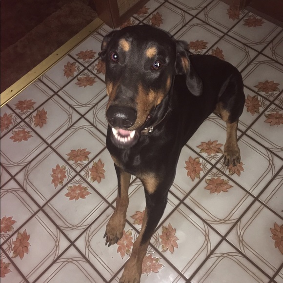 Meet your Posher, The Rack - Picture 15 of 15